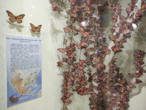 Інсталяція "Міграція метеликів монархів"